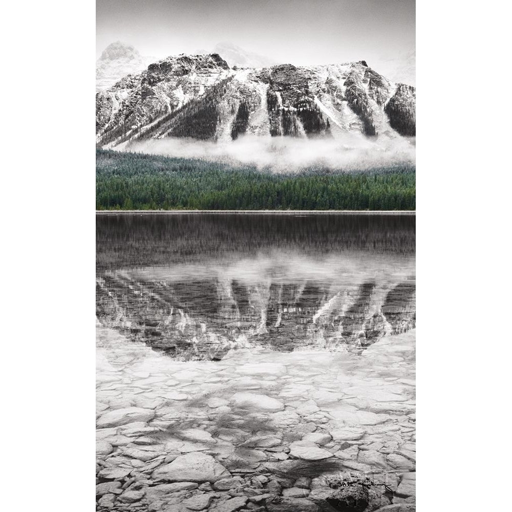 Waterfowl Lake Panel Ii Bw With Color Poster Print by Alan Majchrowicz-VARPDX36429 Image 2