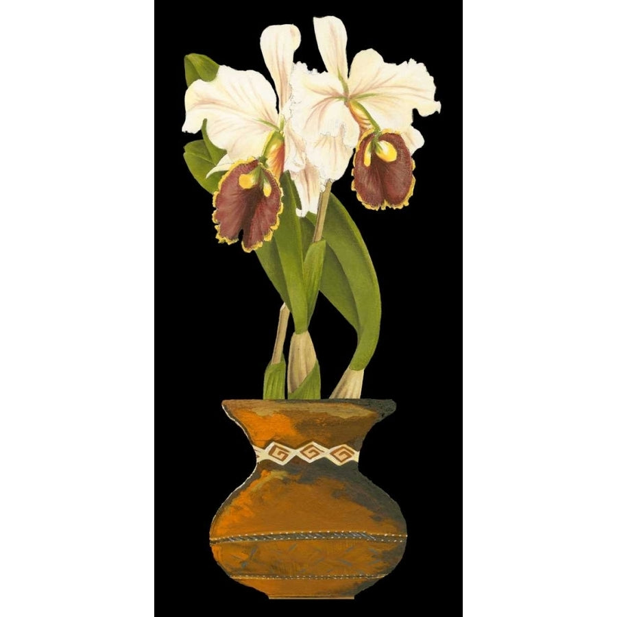 Orchids in Pot II Poster Print - Unknown-VARPDX36430DT Image 1