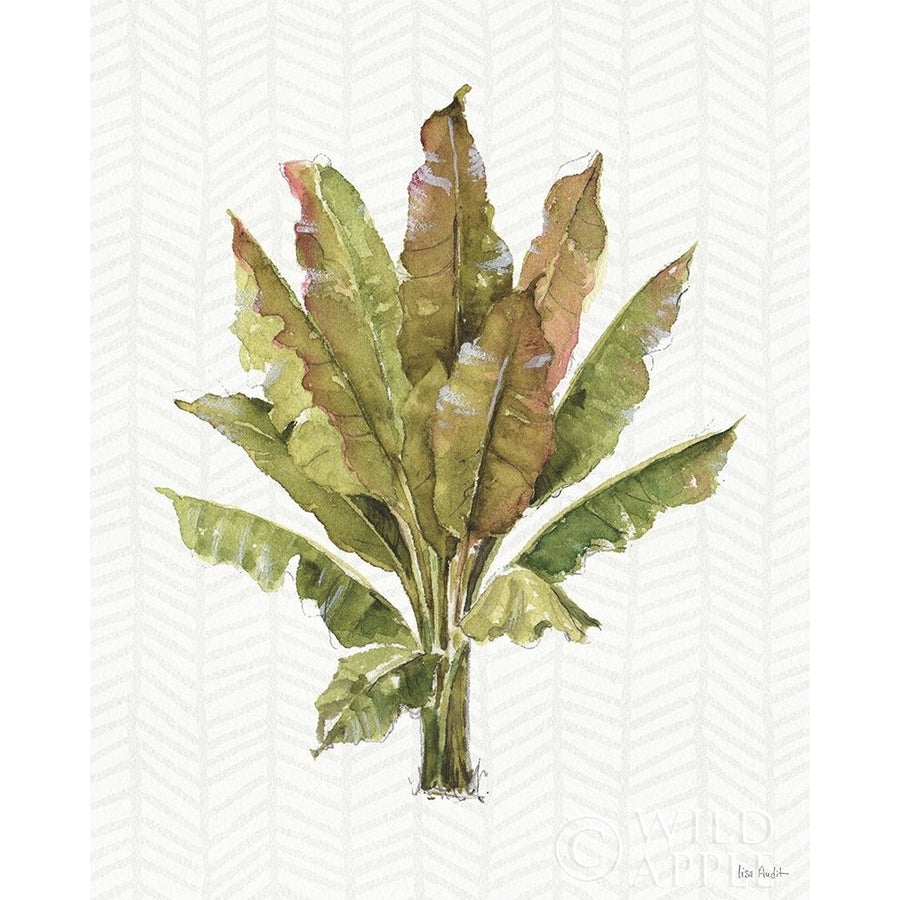 Mixed Greens IX Poster Print by Lisa Audit-VARPDX36467 Image 1