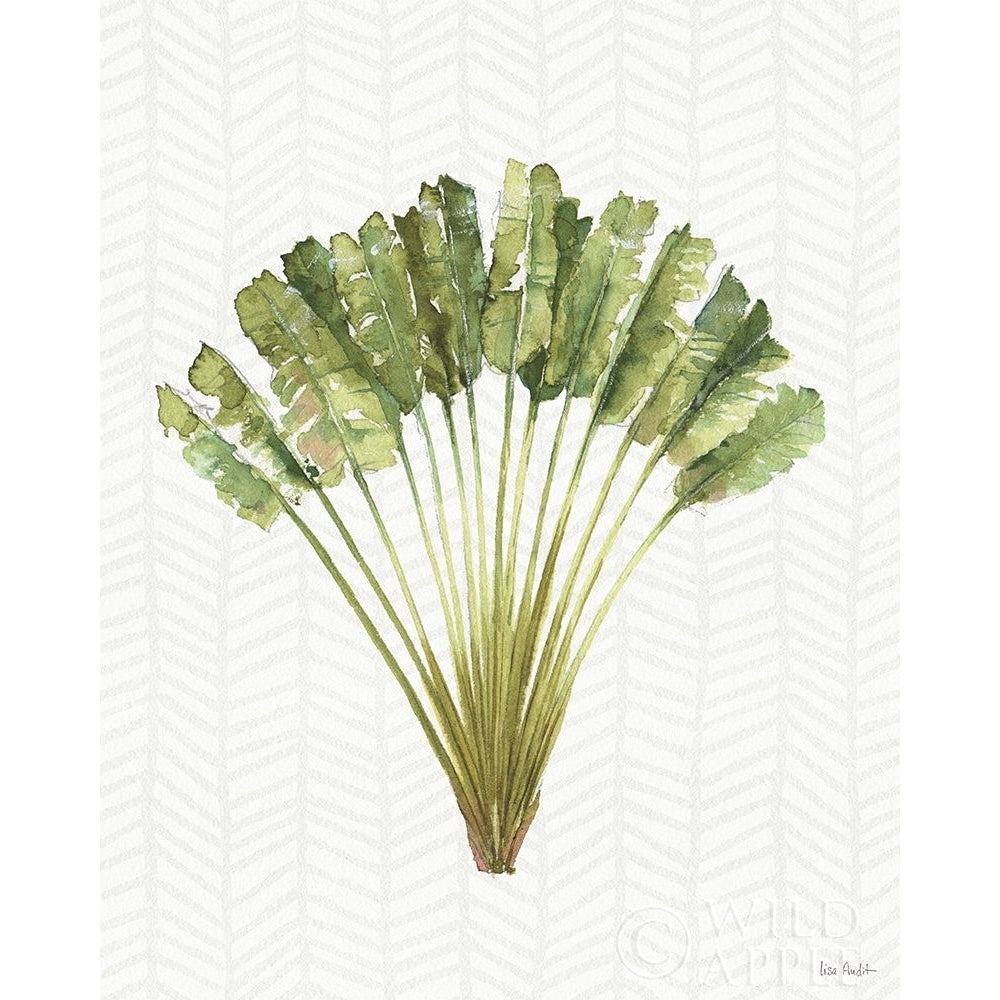 Mixed Greens X Poster Print by Lisa Audit-VARPDX36468 Image 1