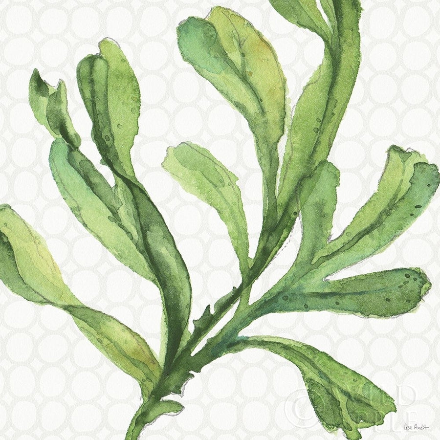 Mixed Greens XIX Poster Print by Lisa Audit-VARPDX36477 Image 1