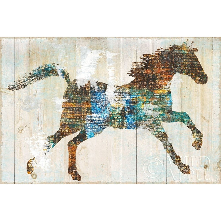 Free Spirit I Poster Print by Sue Schlabach-VARPDX36514 Image 1