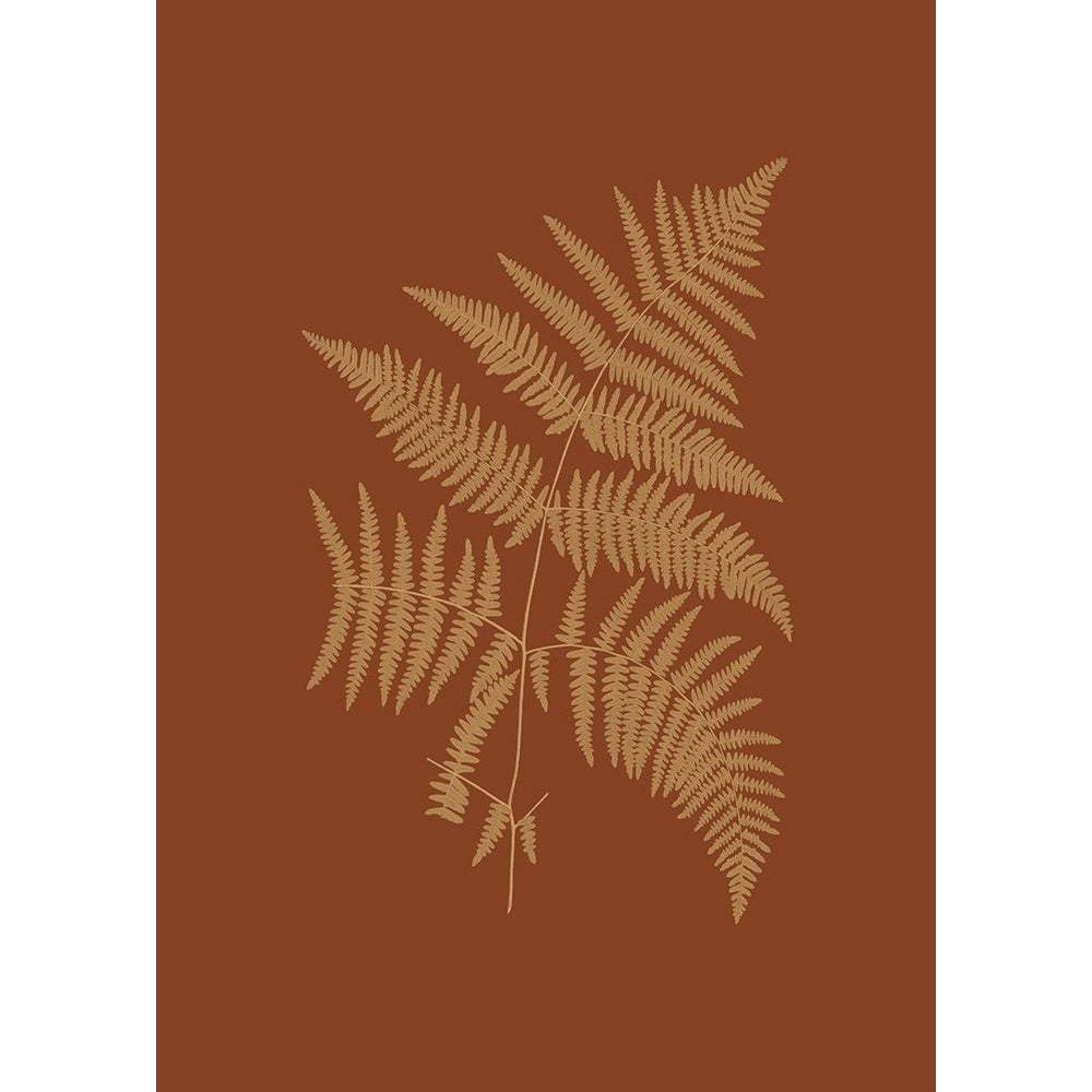 Sepia Ferns on Brick-VARPDX36905D Image 1