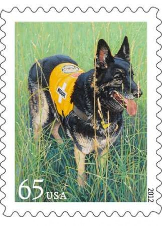 Dogs At Work - Searching Poster Print by US POSTAL SERVICE-VARPDX3694 Image 1