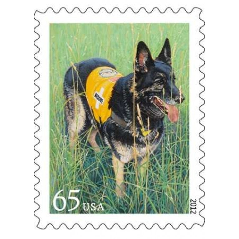 Dogs At Work - Searching Poster Print by US POSTAL SERVICE-VARPDX3694 Image 2