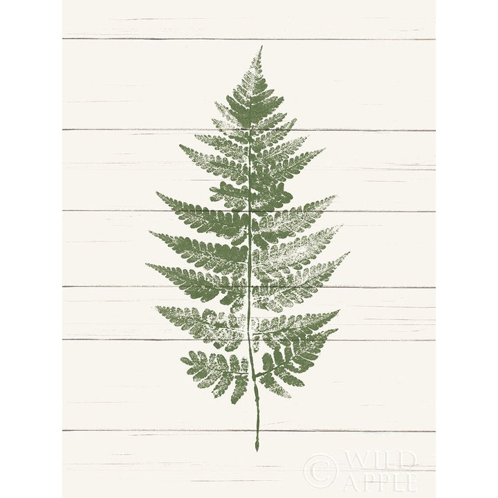 Fern Print I Poster Print by Moira Hershey-VARPDX37053 Image 1