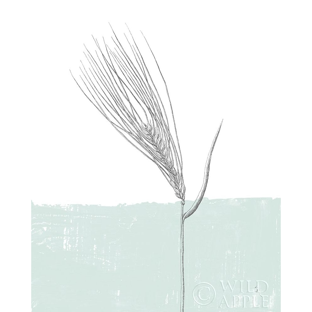 Barley Poster Print by Sarah Adams-VARPDX37079 Image 1