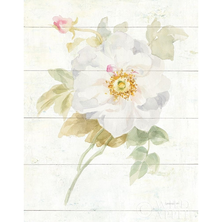 June Blooms Iii Poster Print by Danhui Nai-VARPDX37129 Image 1