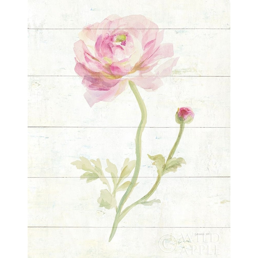 June Blooms I Poster Print by Danhui Nai-VARPDX37127 Image 1