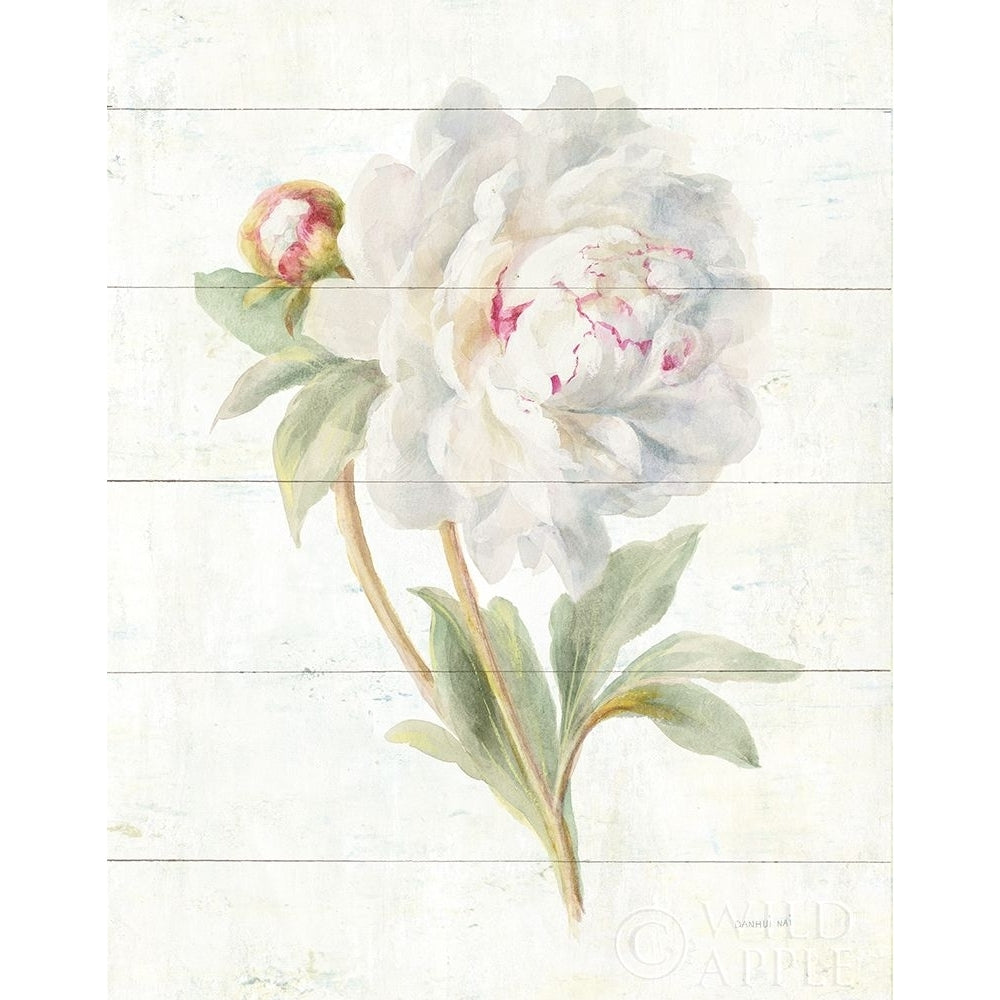 June Blooms Ii Poster Print by Danhui Nai-VARPDX37128 Image 1