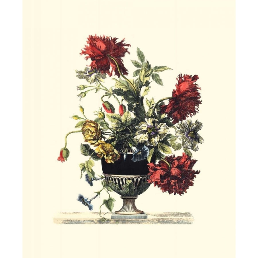 Flowers for June II Poster Print - Giovanni Baptiste-VARPDX3719Z Image 1