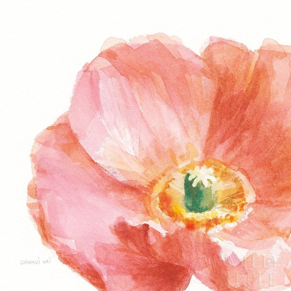 Garden Poppy Flipped On White Crop Poster Print by Danhui Nai-VARPDX37220 Image 1