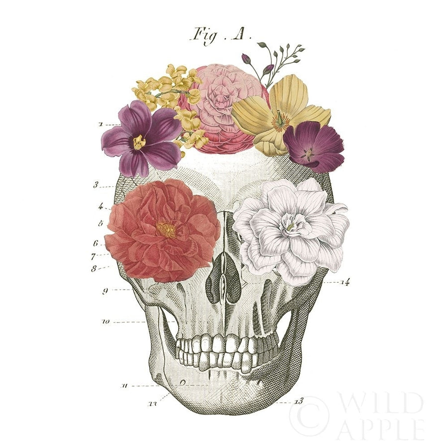 Floral Skull I Poster Print by Wild Apple Portfolio-VARPDX37401 Image 1