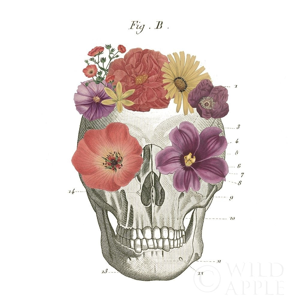 Floral Skull Ii Poster Print by Wild Apple Portfolio-VARPDX37402 Image 1