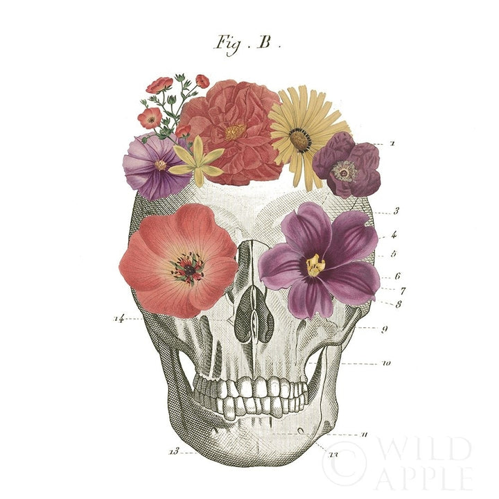 Floral Skull Ii Poster Print by Wild Apple Portfolio-VARPDX37402 Image 2