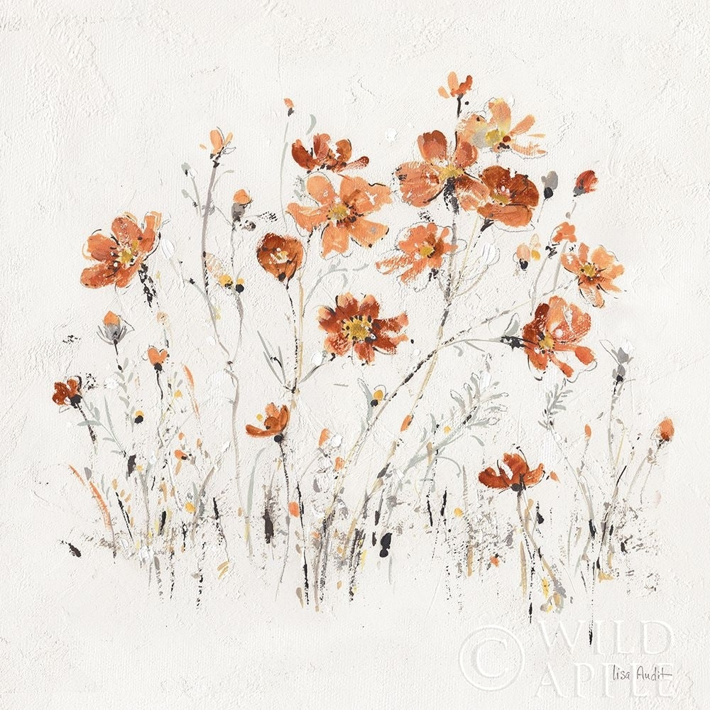 Wildflowers Ii Orange Poster Print by Lisa Audit-VARPDX37429 Image 1