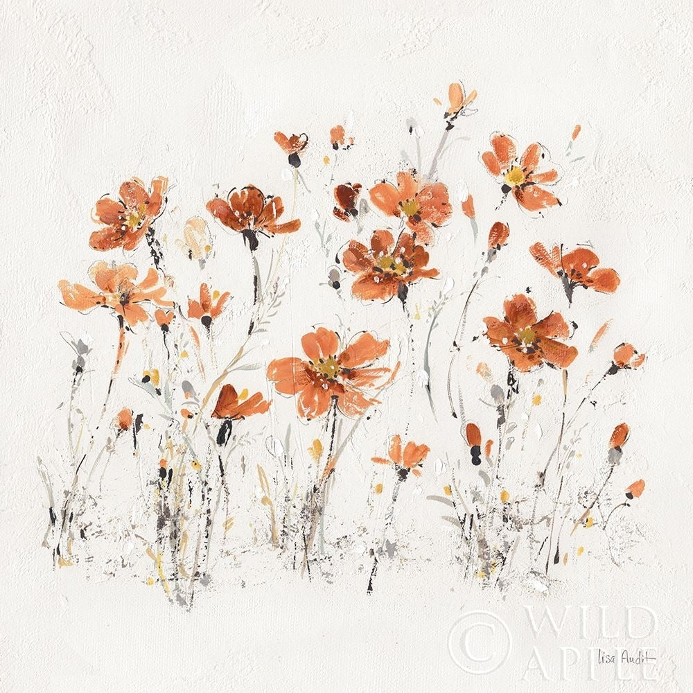 Wildflowers Iii Orange Poster Print by Lisa Audit-VARPDX37430 Image 1