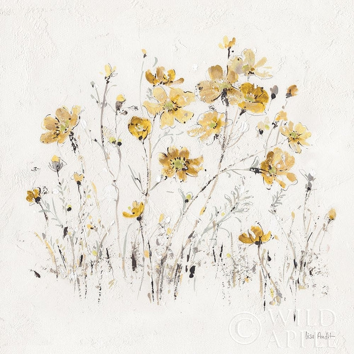 Wildflowers Ii Yellow Poster Print by Lisa Audit-VARPDX37438 Image 2