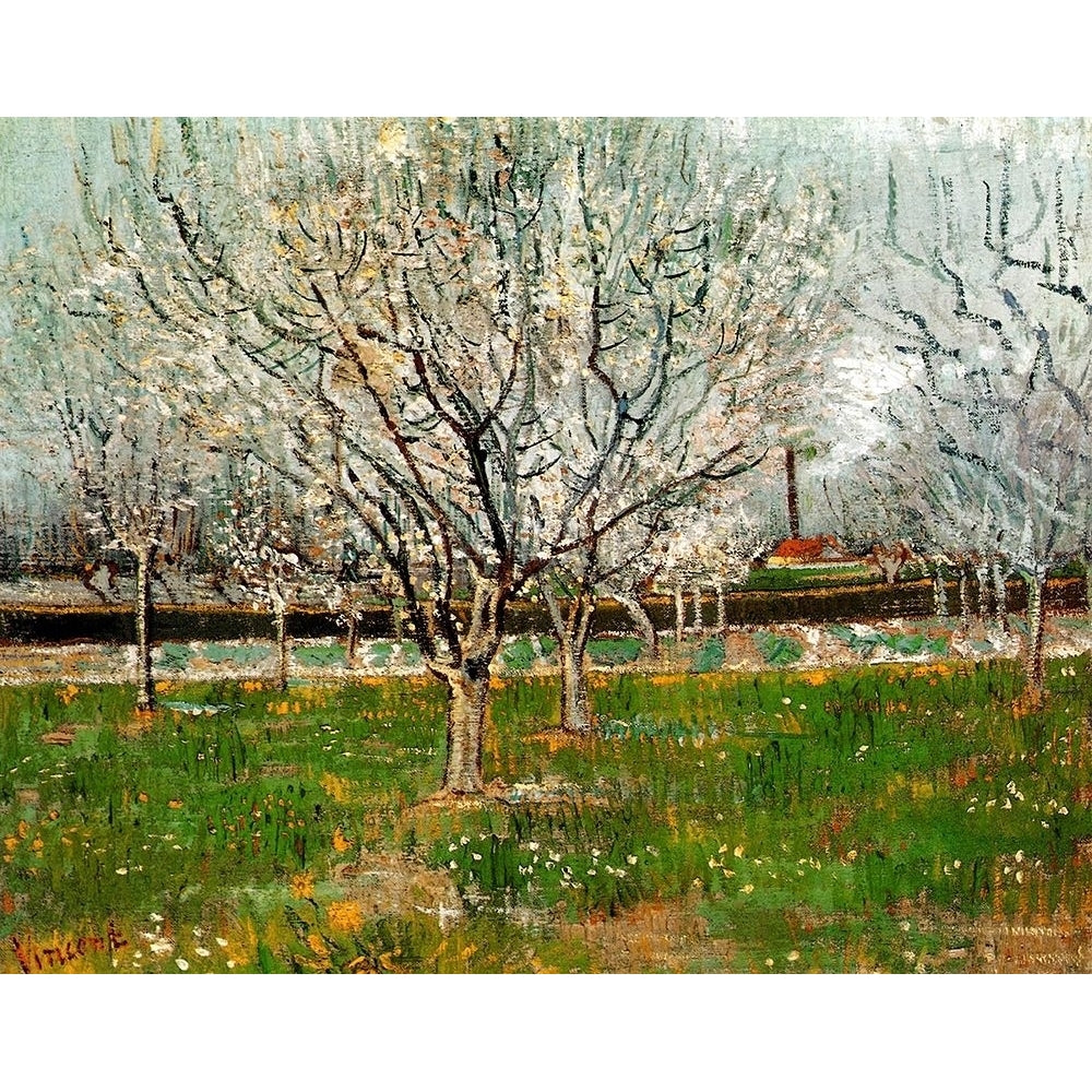 Plum Trees In Blossom Poster Print by Vincent Van Gogh-VARPDX374534 Image 1