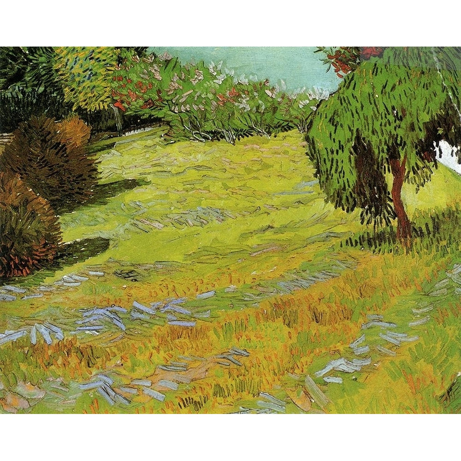 Sunny Lawn In Public Park Poster Print by Vincent Van Gogh-VARPDX374559 Image 1