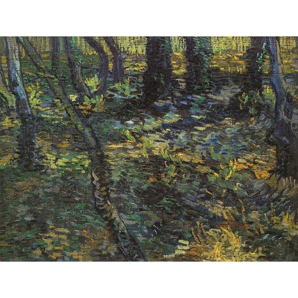 Undergrowth Poster Print by Vincent Van Gogh-VARPDX374578 Image 1