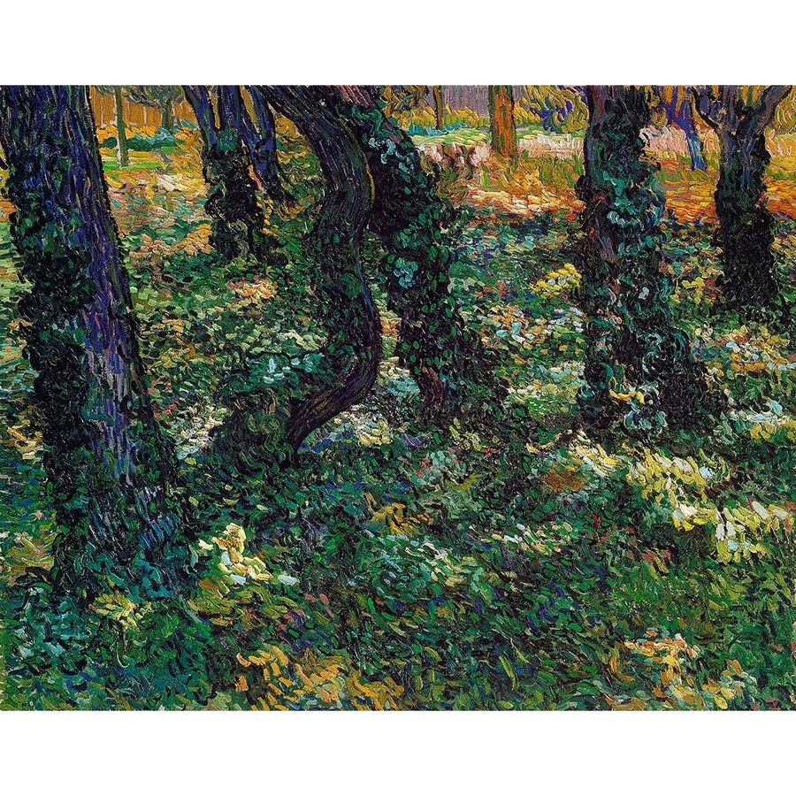 Undergrowth 2 Poster Print by Vincent Van Gogh-VARPDX374579 Image 1