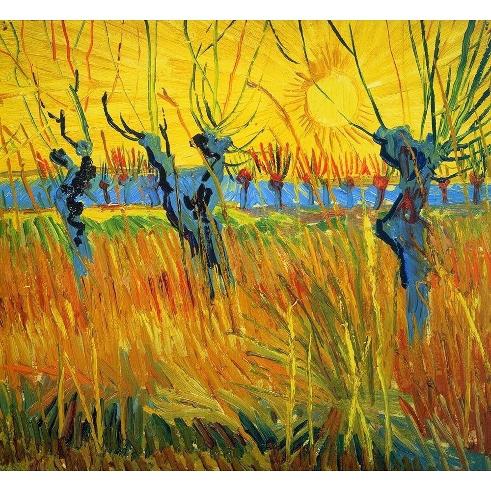 Willows At Sunset Poster Print by Vincent Van Gogh-VARPDX374592 Image 1