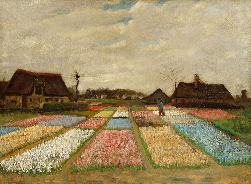 Bulb Fields Poster Print by Vincent Van Gogh-VARPDX374613 Image 1