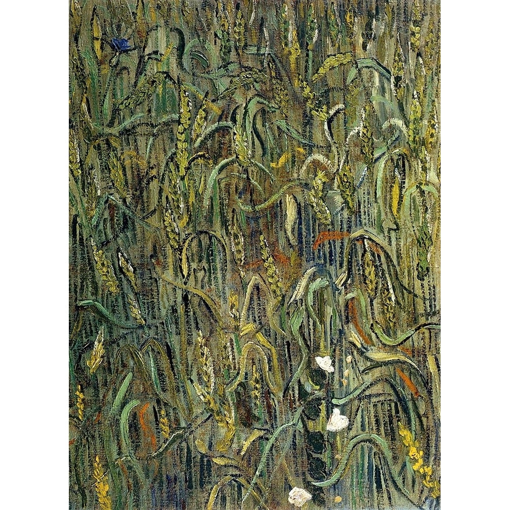 Ears Of Wheat Poster Print by Vincent Van Gogh-VARPDX374633 Image 1