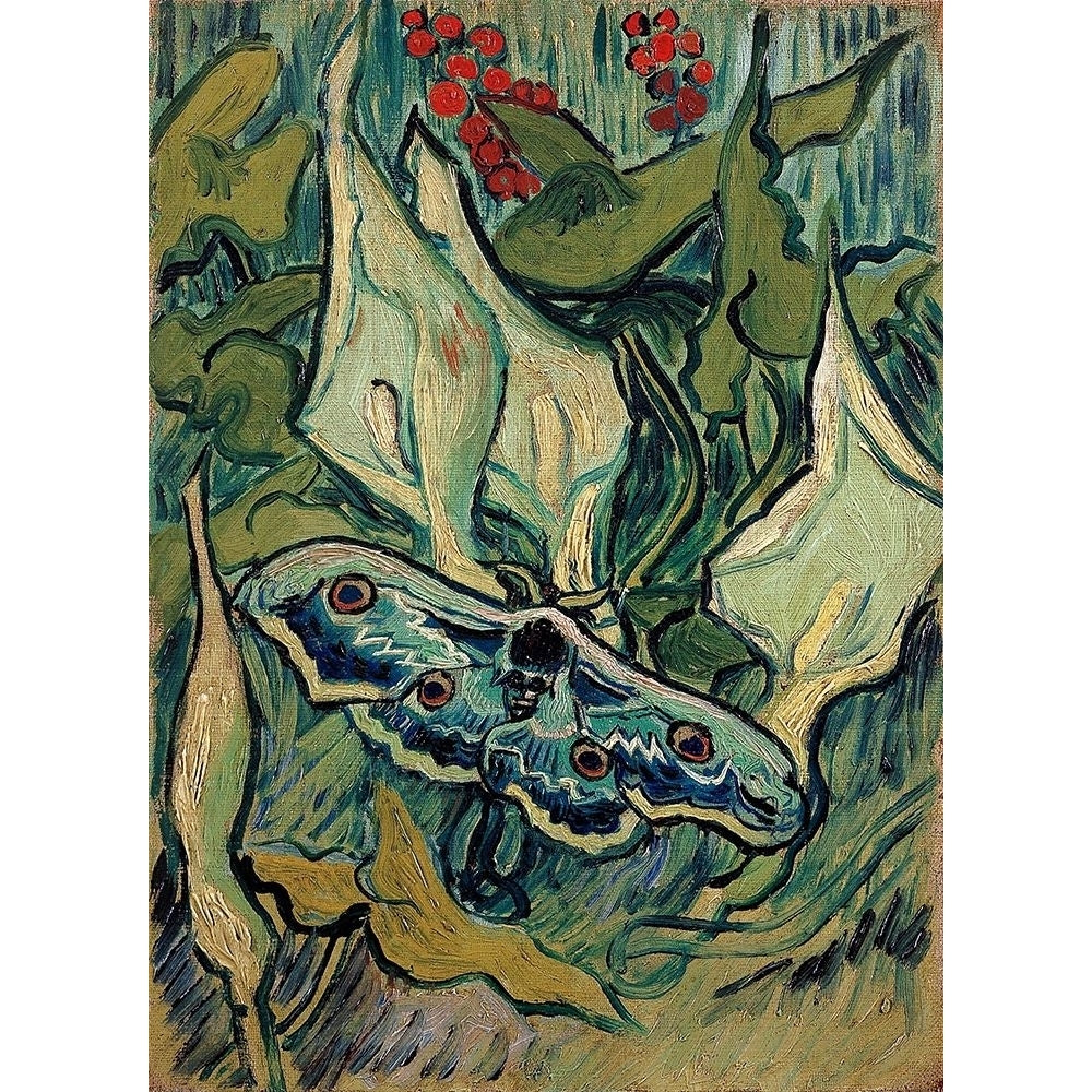 Emperor Moth Poster Print by Vincent Van Gogh-VARPDX374634 Image 1