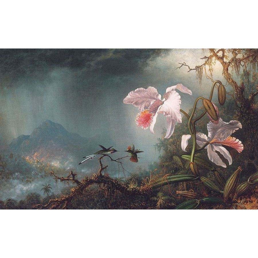 Two Fighting Hummingbirds With Two Orchids Poster Print by Martin Johnson Heade-VARPDX375816 Image 1