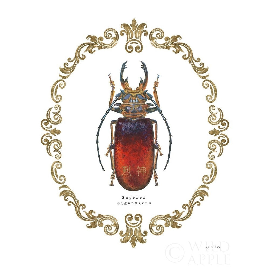 Adorning Coleoptera I Poster Print by James Wiens-VARPDX37630 Image 1