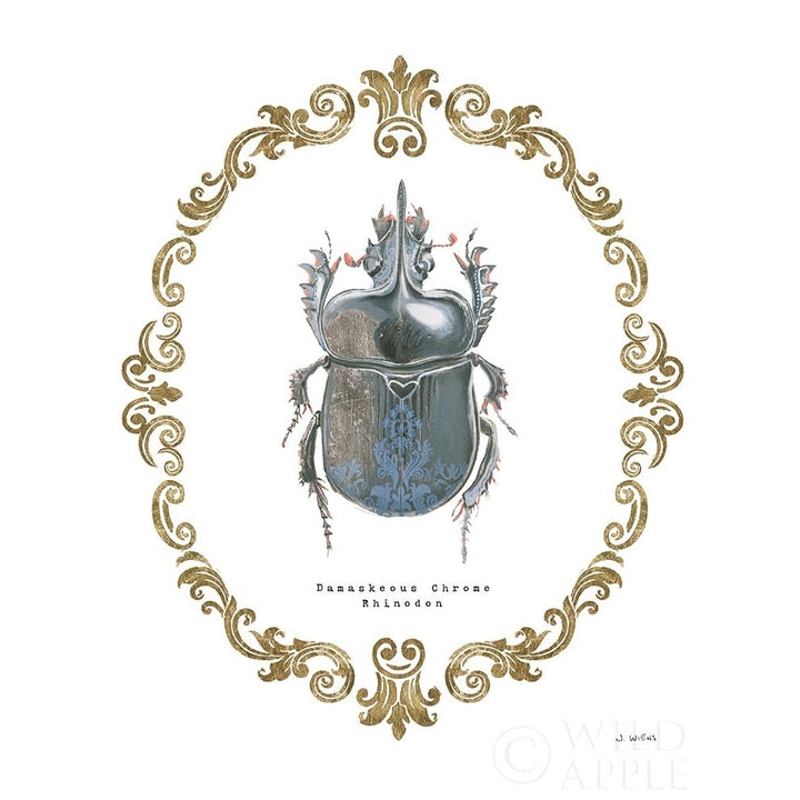 Adorning Coleoptera Iv Poster Print by James Wiens-VARPDX37633 Image 1