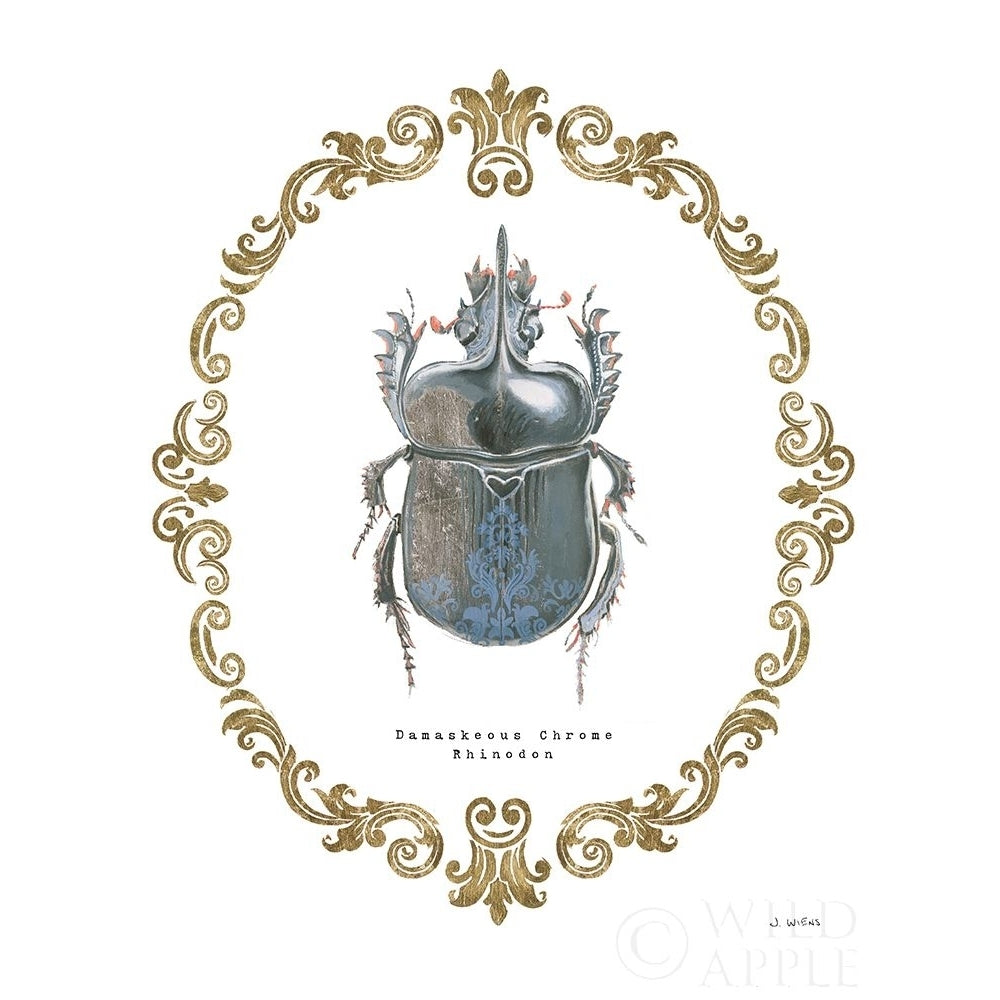 Adorning Coleoptera Iv Poster Print by James Wiens-VARPDX37633 Image 2