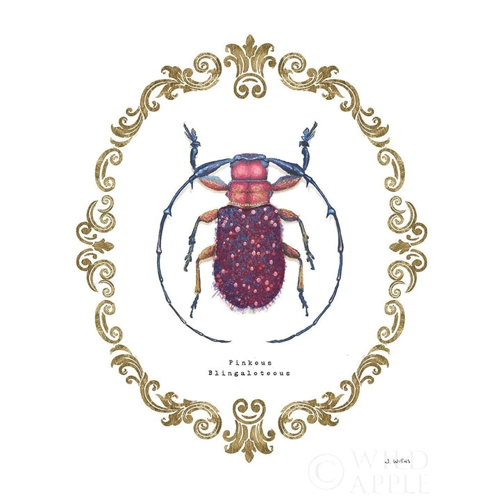 Adorning Coleoptera Ii Poster Print by James Wiens-VARPDX37631 Image 1