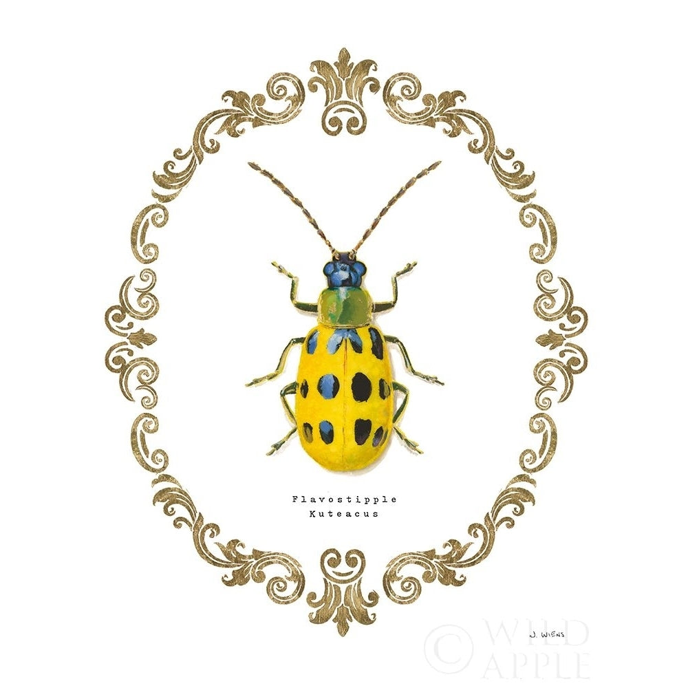 Adorning Coleoptera Vii Poster Print by James Wiens-VARPDX37636 Image 1