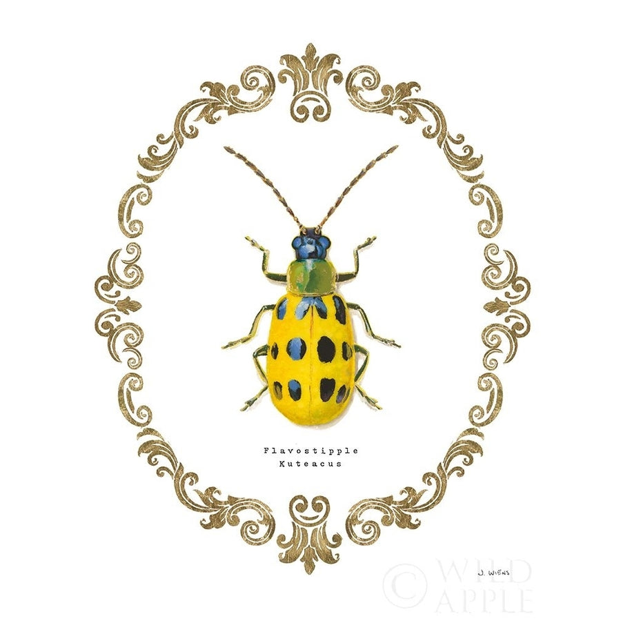 Adorning Coleoptera Vii Poster Print by James Wiens-VARPDX37636 Image 1