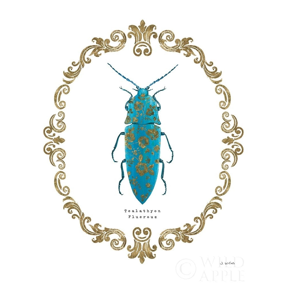 Adorning Coleoptera Viii Poster Print by James Wiens-VARPDX37637 Image 1