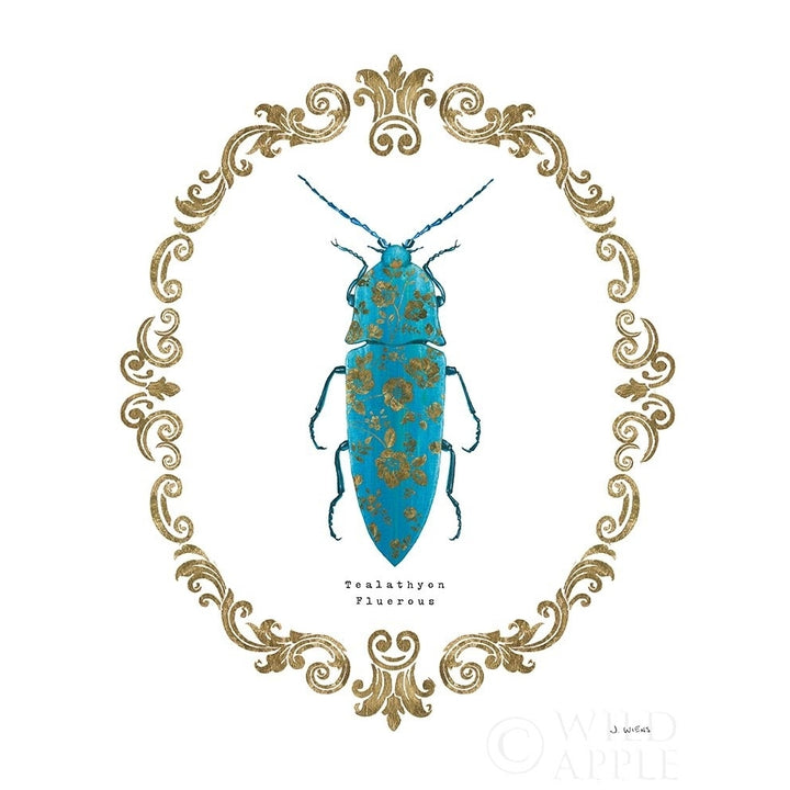 Adorning Coleoptera Viii Poster Print by James Wiens-VARPDX37637 Image 1