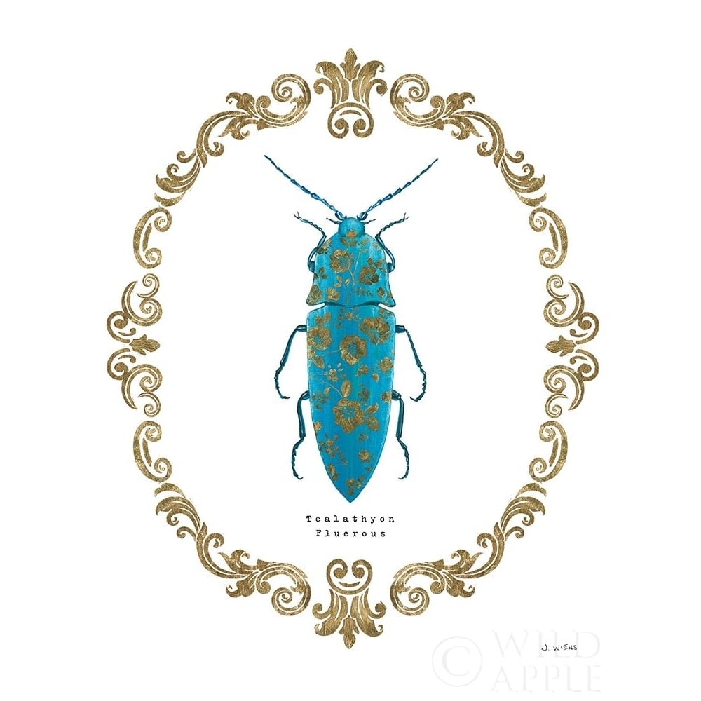 Adorning Coleoptera Viii Poster Print by James Wiens-VARPDX37637 Image 1