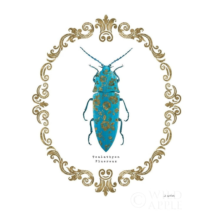 Adorning Coleoptera Viii Poster Print by James Wiens-VARPDX37637 Image 1