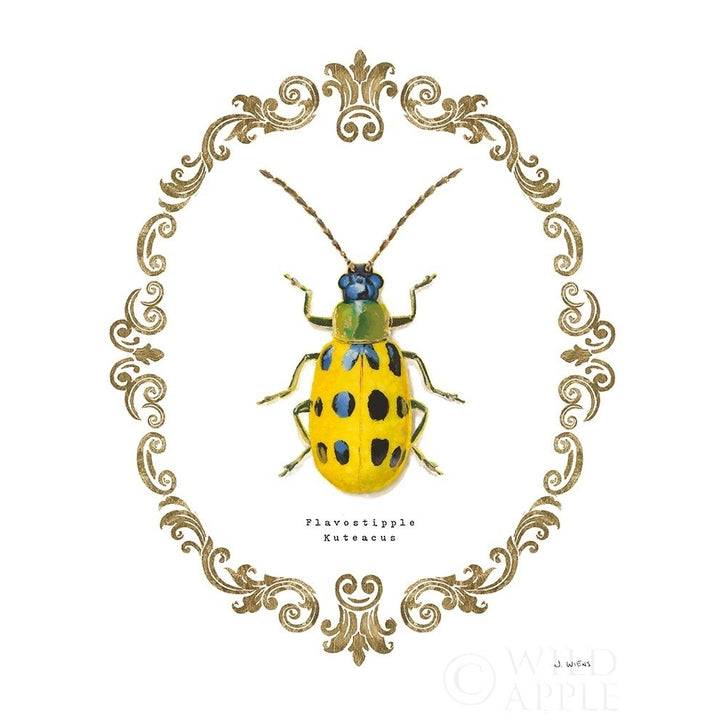 Adorning Coleoptera Vii Poster Print by James Wiens-VARPDX37636 Image 2