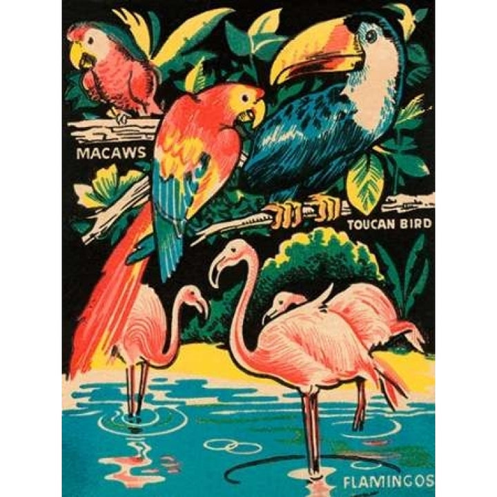 Tropical Hobbyland - Birds Poster Print by Retrotravel -VARPDX376456 Image 2