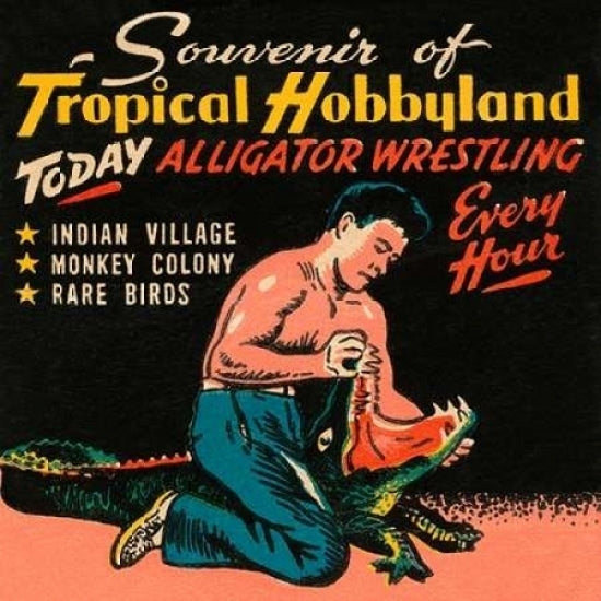 Tropical Hobbyland - Alligator Wrestling Poster Print by Retrotravel -VARPDX376457 Image 2