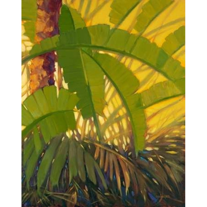 Sunshine Tropics 2 Poster Print by J Charles-VARPDX379CHA1034 Image 1