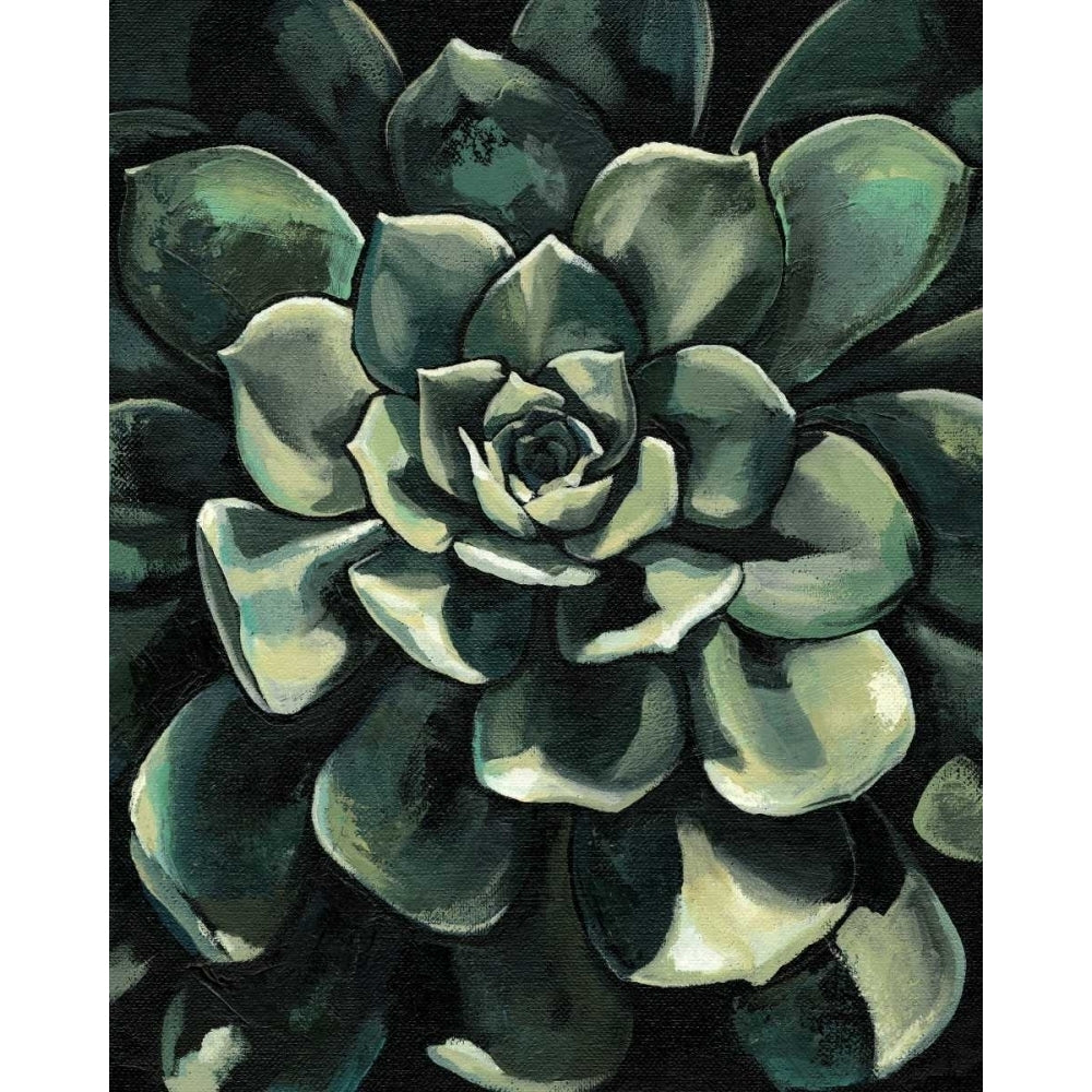 Printed Lunar Succulent I Poster Print - Megan Meagher-VARPDX38003D Image 1