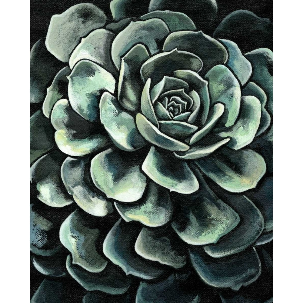 Printed Lunar Succulent II Poster Print - Megan Meagher-VARPDX38004D Image 1