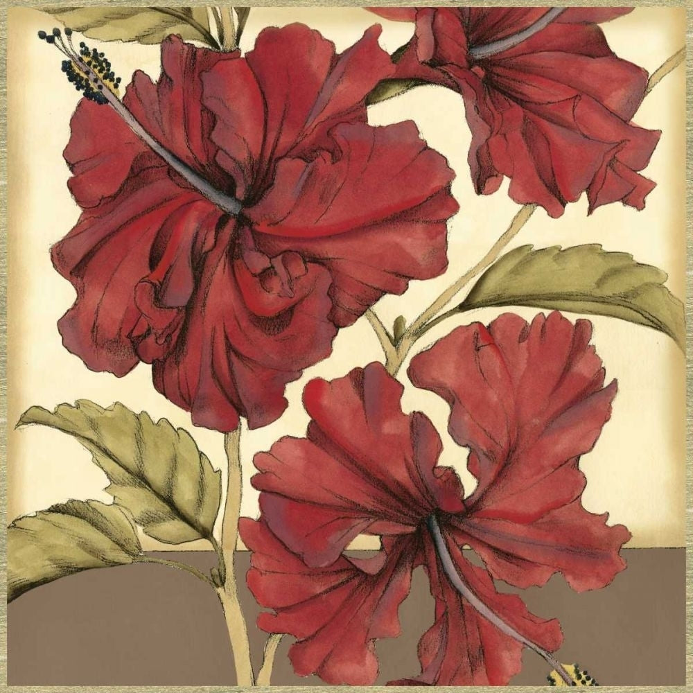 Cropped Sophisticated Hibiscus I Poster Print - Jennifer Goldberger-VARPDX38154D Image 1