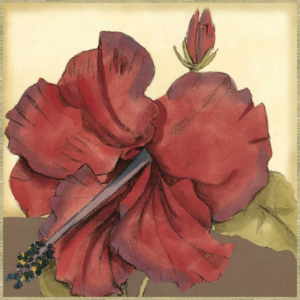 Cropped Sophisticated Hibiscus III Poster Print - Jennifer Goldberger-VARPDX38156D Image 1