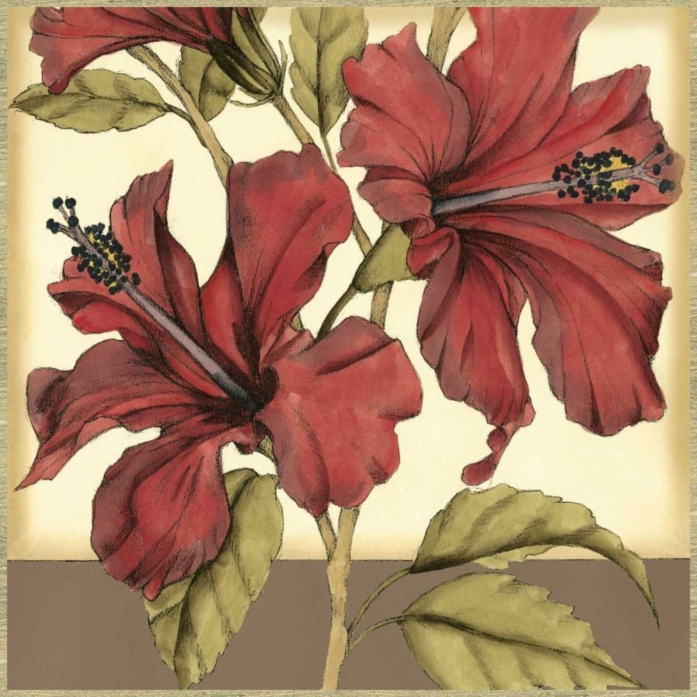 Cropped Sophisticated Hibiscus II Poster Print - Jennifer Goldberger-VARPDX38155D Image 1